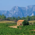 Photo de vignes et d'une petite habitation au milieu avec de très grandes montagnes derrières