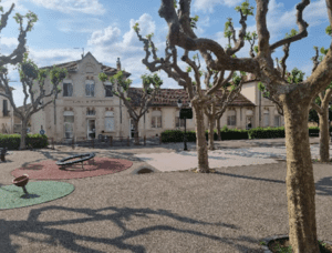 Photo des arbres sans feuilles de la cour de récréation de l'école de garçons