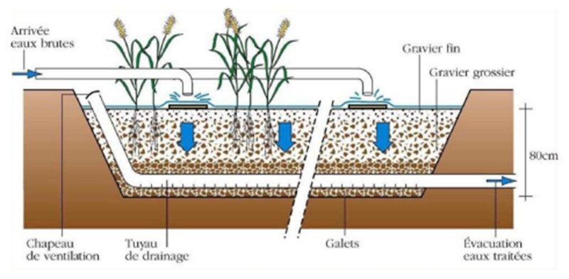 Infographie de sol drainant