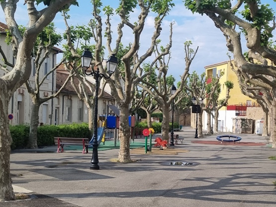 Photo de l'air de jeux au milieu d'arbre sur une place du village