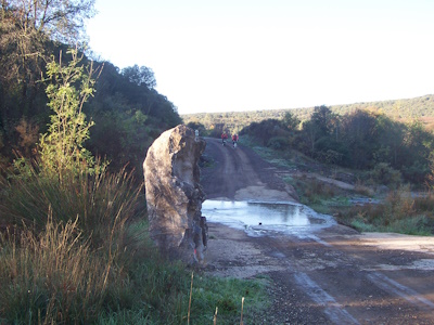 Photo d'un chemin avec de l'eau au milieu