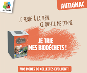 Infographie pour le trie des biodéchets