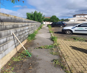 Photo d'un trottoir avec des mauvaises herbes