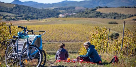 Photo de deux personnes assises au milieu des vignes avec leur vélo